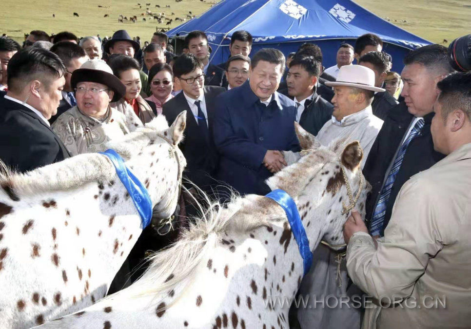 骏马外交蒙古国1.png