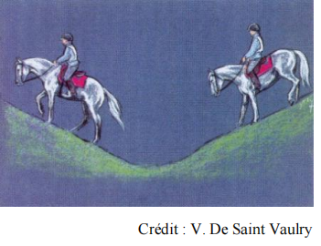 Ride a horse through a valley骑马过低谷.png