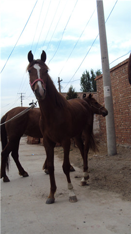 DSC01039_副本.jpg