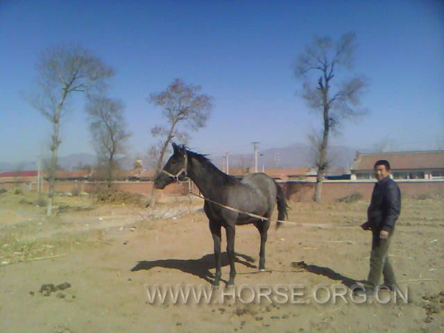 20110411A003.jpg