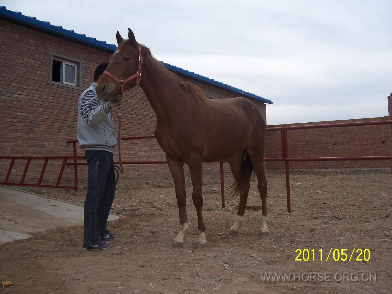 100_3836.JPG