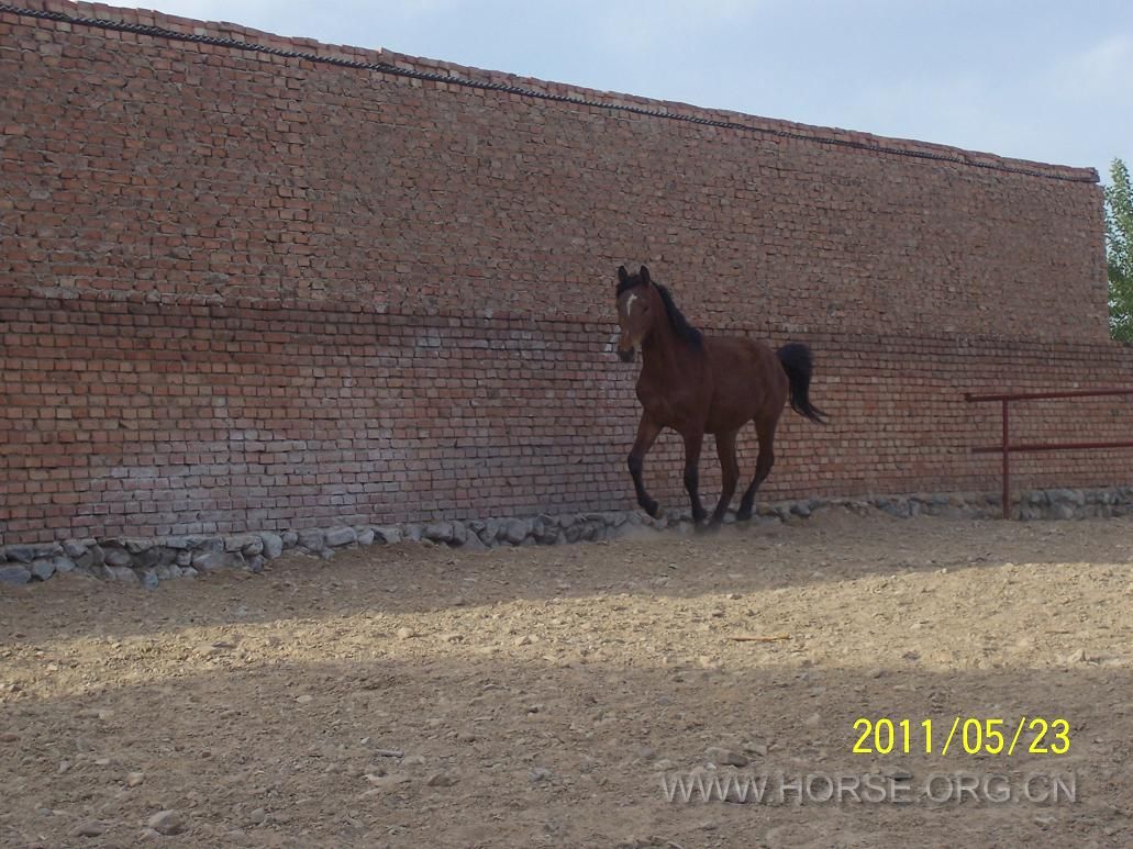 100_3857.JPG