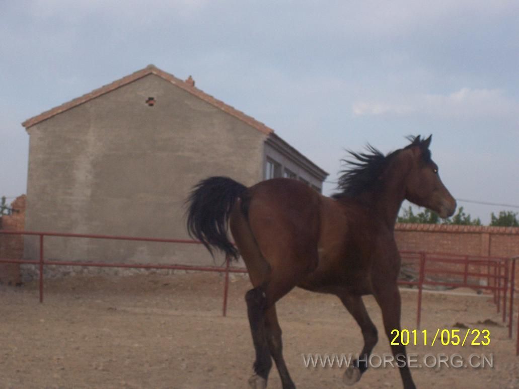 100_3863.JPG
