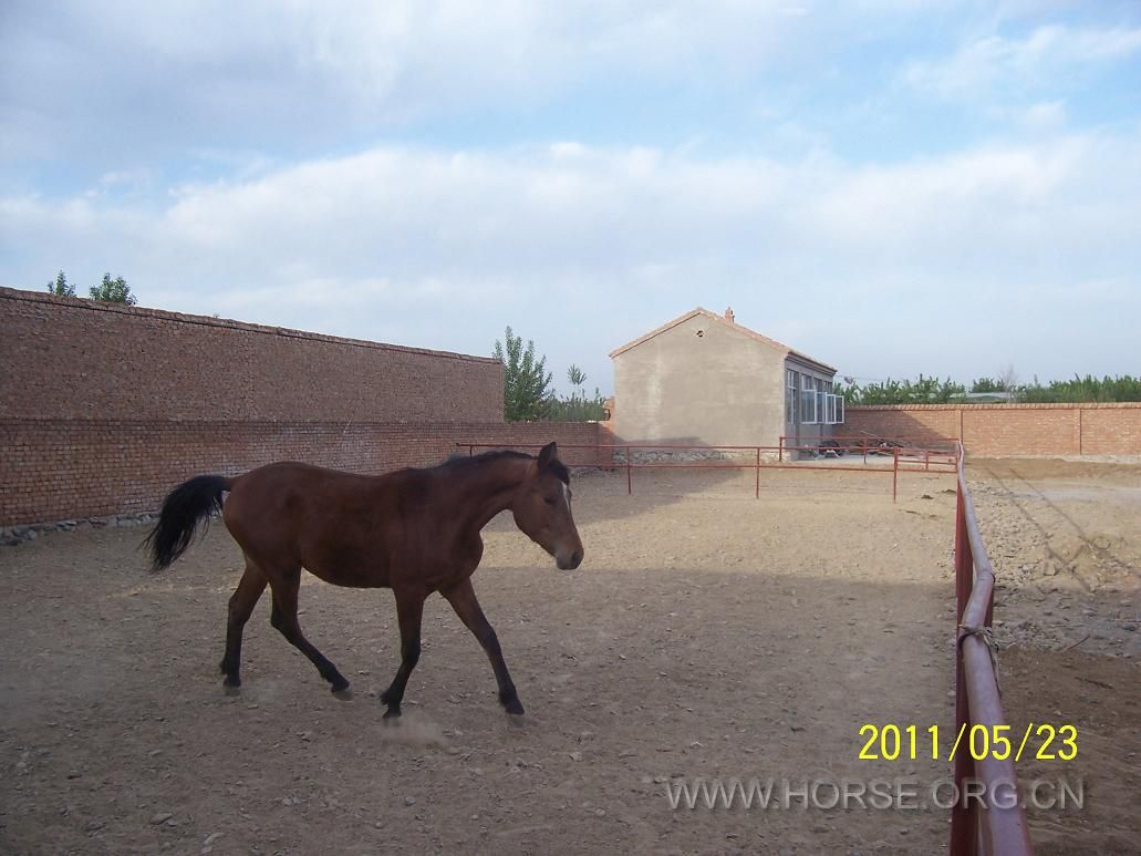 100_3870.JPG