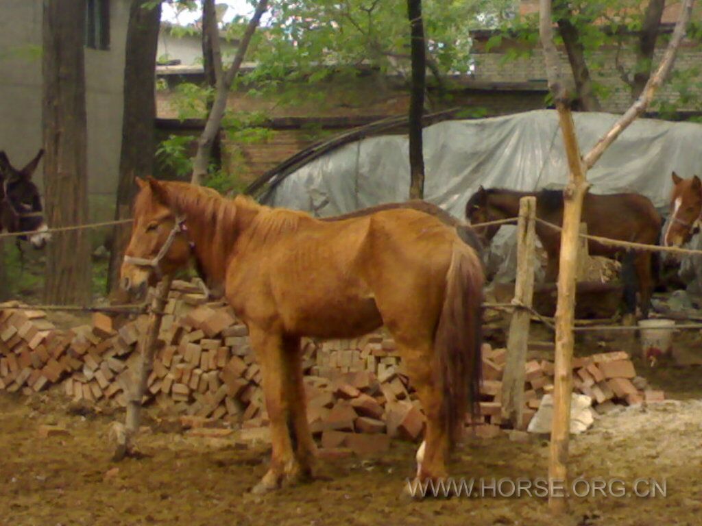 20110509513.jpg