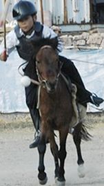http_imgload[10].jpg
