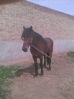IMG0255A.jpg