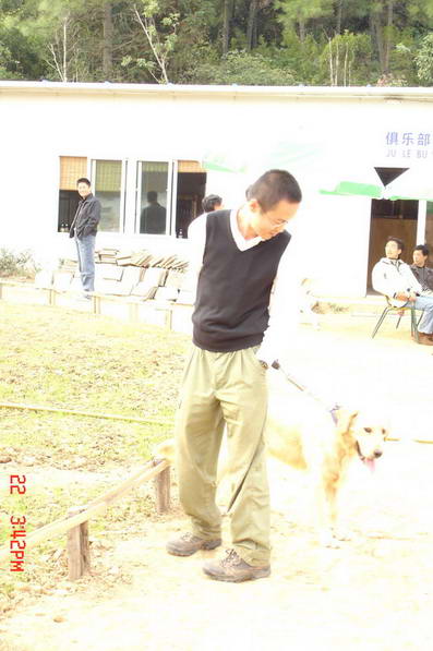 上周图片