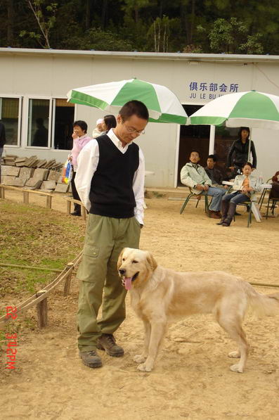 上周图片