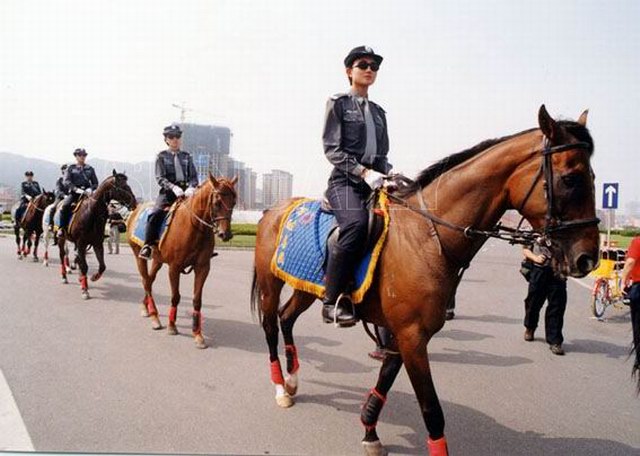 [贴图]英姿飒爽的大连女骑警