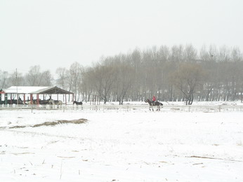 林海雪原