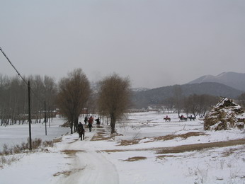 林海雪原