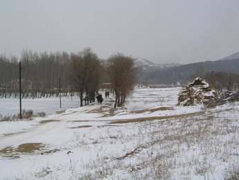 林海雪原