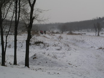 林海雪原