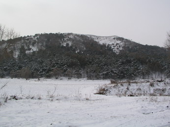 林海雪原