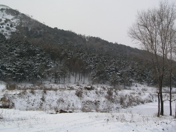 林海雪原