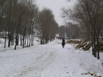 林海雪原