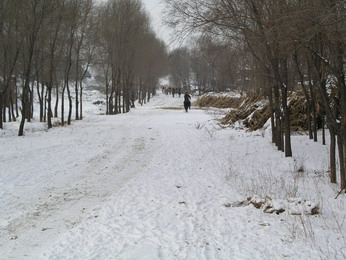 林海雪原