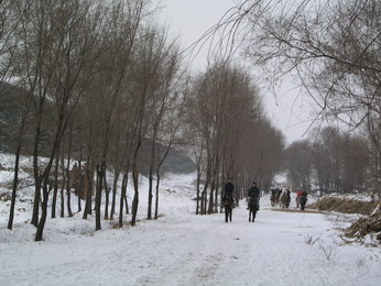 林海雪原