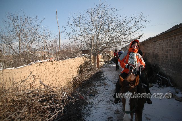 天漠雪地撒野系列：随意