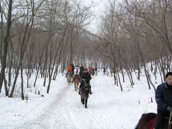 林海雪原（二）