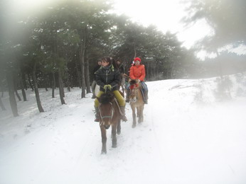 林海雪原（二）