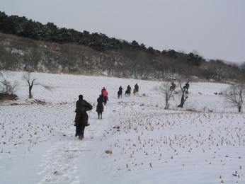 林海雪原（二）