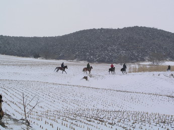 林海雪原（二）