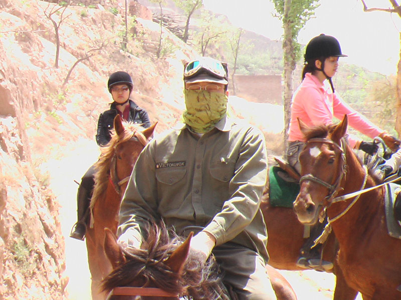 山西骑马之马踏黄土