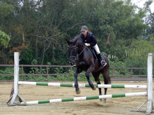 馬場馬術、障礙超越雙棲女騎手