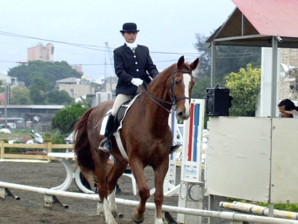 馬場馬術、障礙超越雙棲女騎手