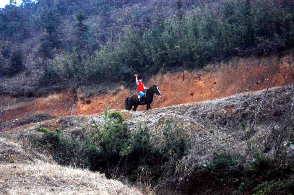 马场一景~马友英姿