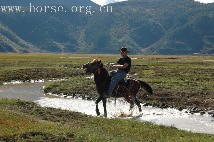 滇西北（中甸丽江泸沽湖）三人探险队－马不停蹄1(松赞林寺纳帕海）