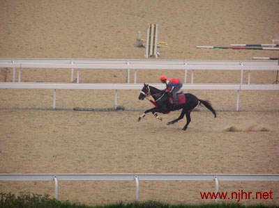 [分享]南京赛马场今天速度赛热身跑，马跑的太快了