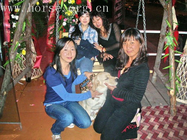鱼酷之快乐心情之开业大喜