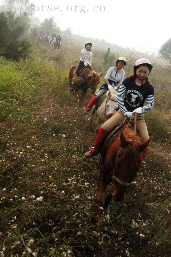 发几张周日 女骑士 图片