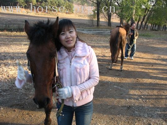 10.26骑马活动花絮4