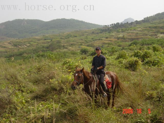 十月五号穿越崂山。。多图。。。。