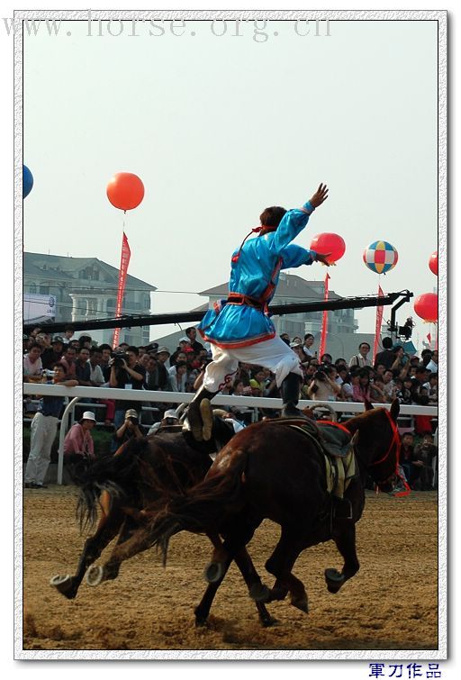 武汉赛马节河南代表队胜利归来