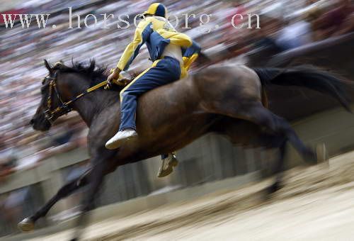 [转帖]THE ITALY PALIO HORSE RACE