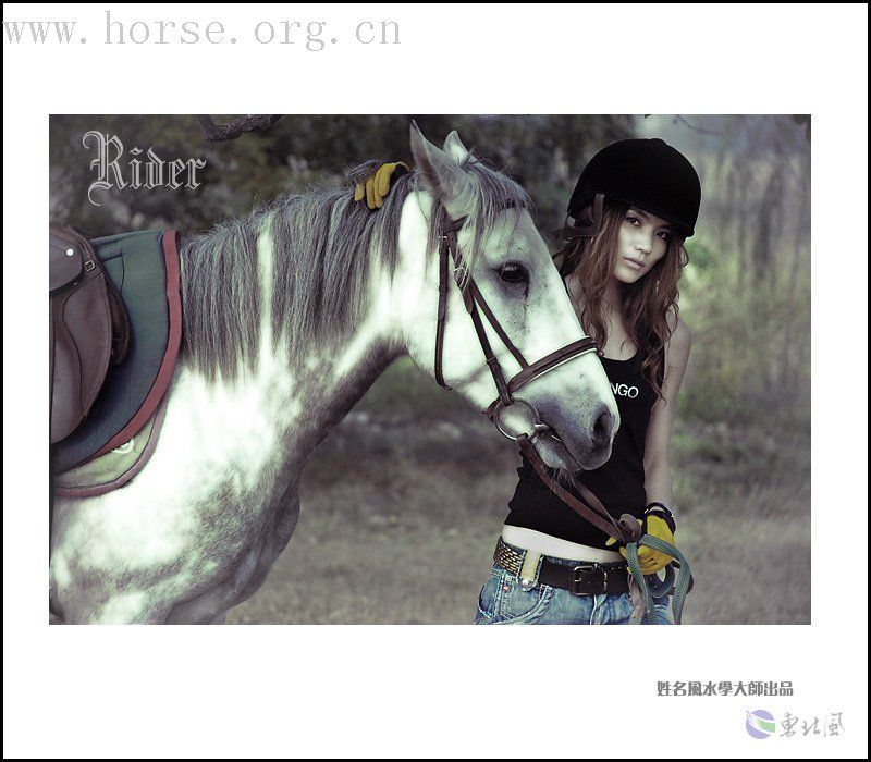 美女与马