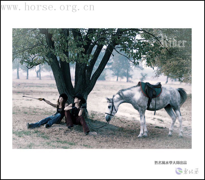 [转帖]美女与马（随时上传新照片）