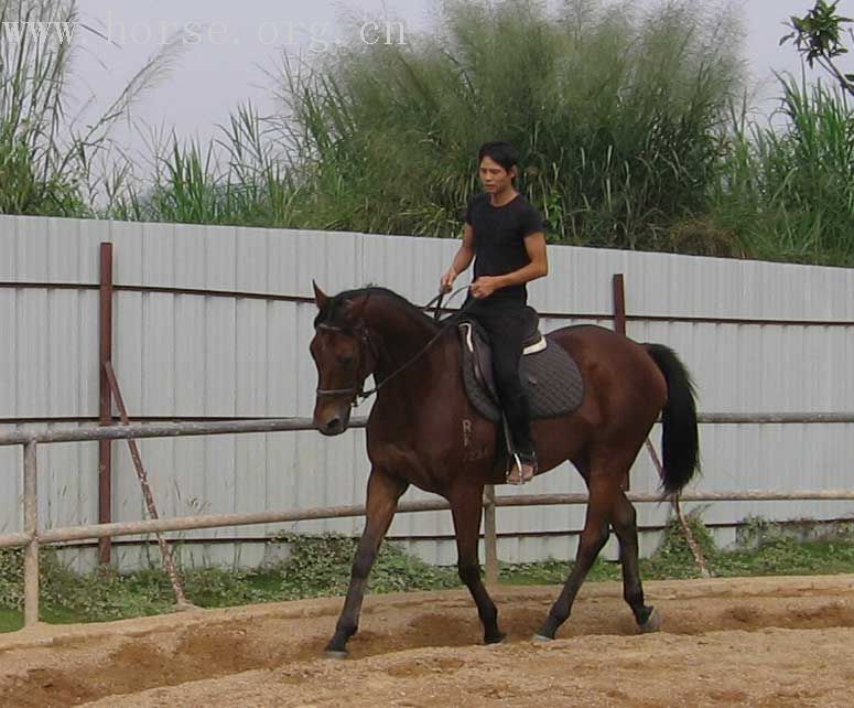 千里迢迢，来找啊文教练