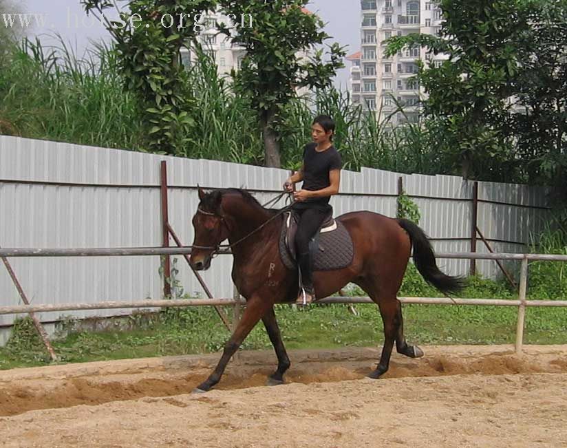 千里迢迢，来找啊文教练