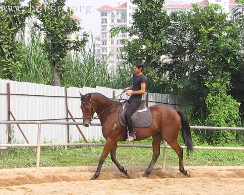 千里迢迢，来找啊文教练