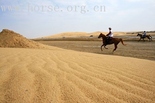 [转帖]多哈亞運馬術耐力賽比賽相片