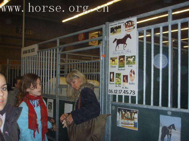 巴黎马展归来SALON DE CHEVAL 2006