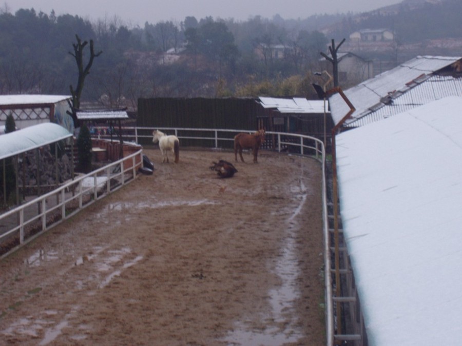 记录--2006年第一场 雪的早晨