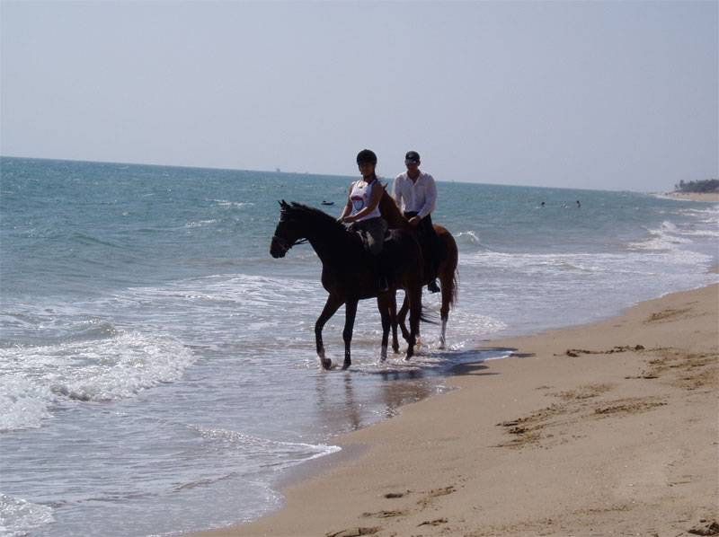 碧海蓝天万里舒，帅哥做伴同踏浪，阳光海岸骑纯血，千里银滩三亚湾。怎一个“爽”字了得啊！
