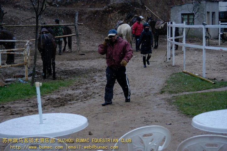 走马观雪（2）